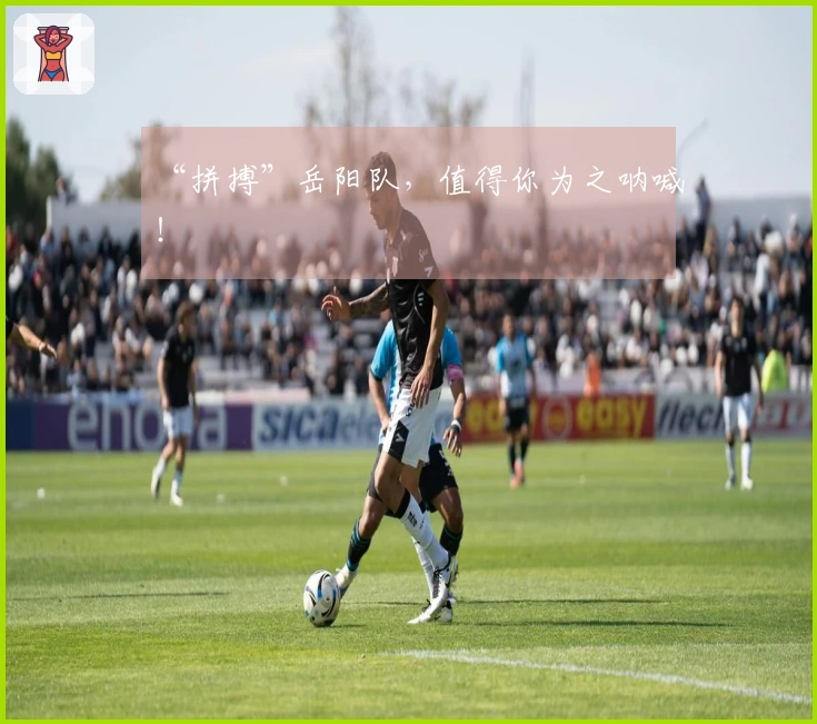 “拼搏”岳阳队，值得你为之呐喊！